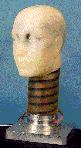 artificial head